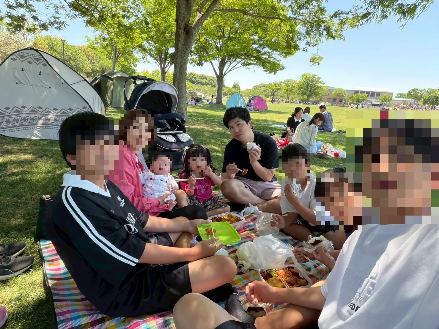 公園でお弁当